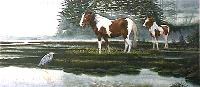 Kevin McBride's year 2000 pony picture