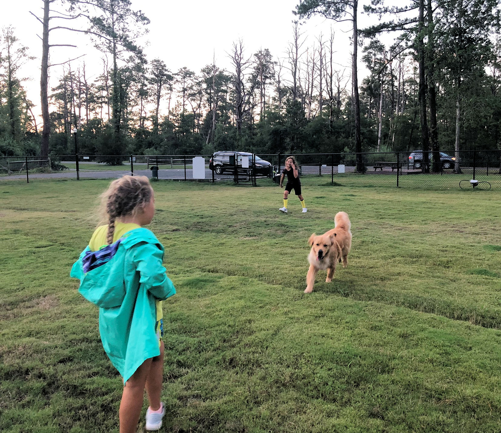dog park g