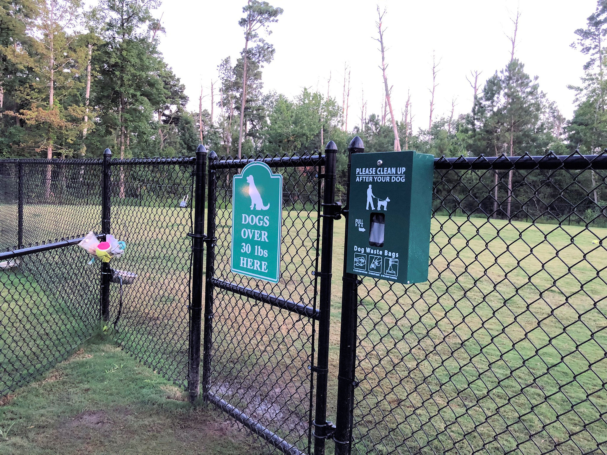 dog park l