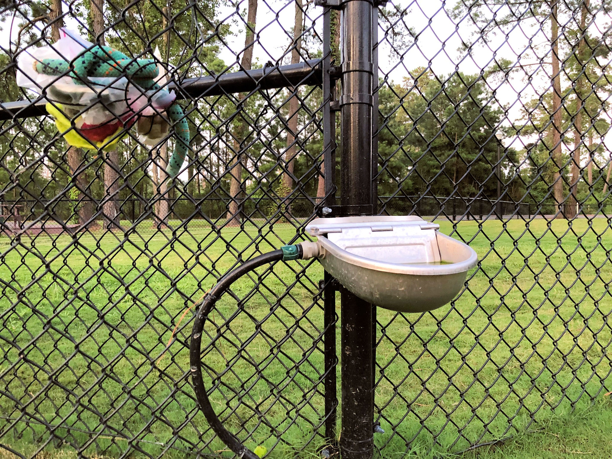 One of several self-filling water bowls