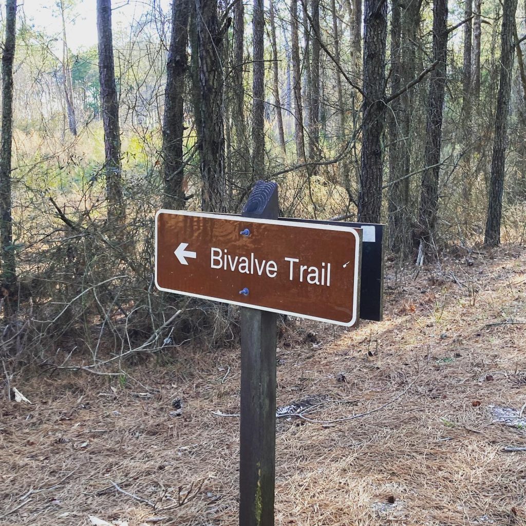 Hiking Chincoteague National Wildlife Refuge
