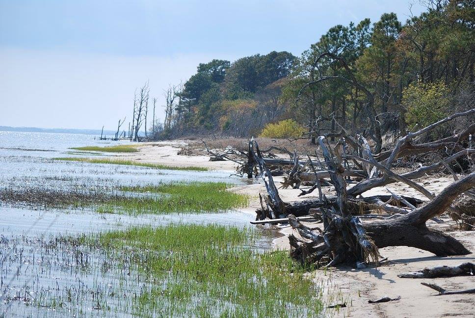 Biking Chincoteague National Wildlife Refuge