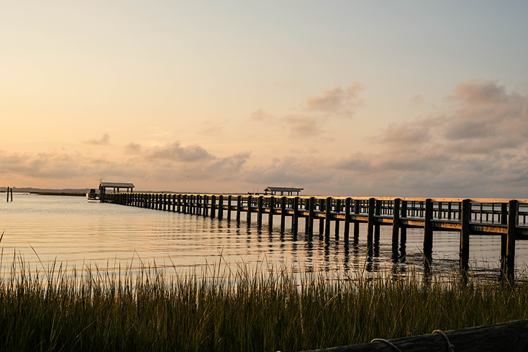 Oyster Fest Chincoteague