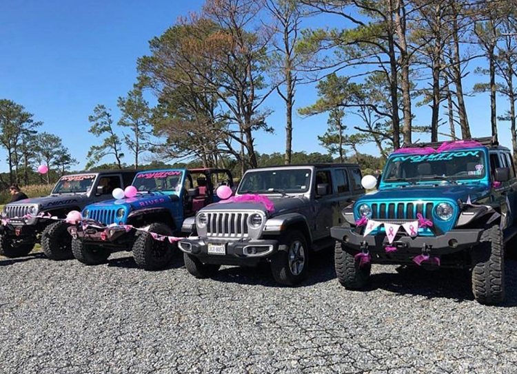 Jeep's on display