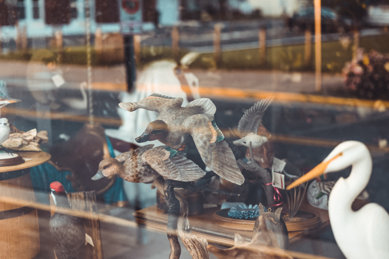 duck decoys in the window in chincoteague 
