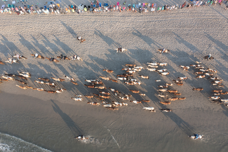 drone overhead shot of pony swim