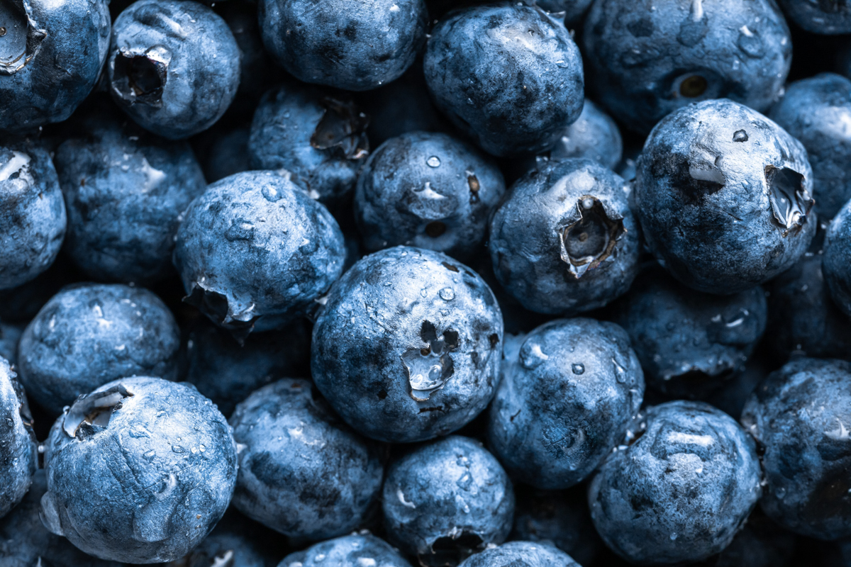 35th Annual Chincoteague Island Blueberry Festival