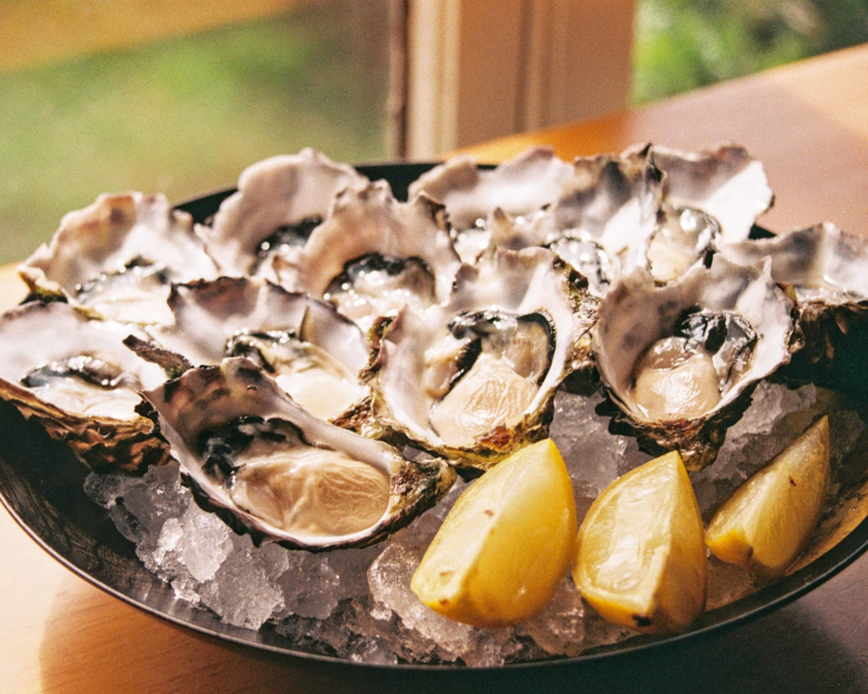 chincoteague seafood oysters