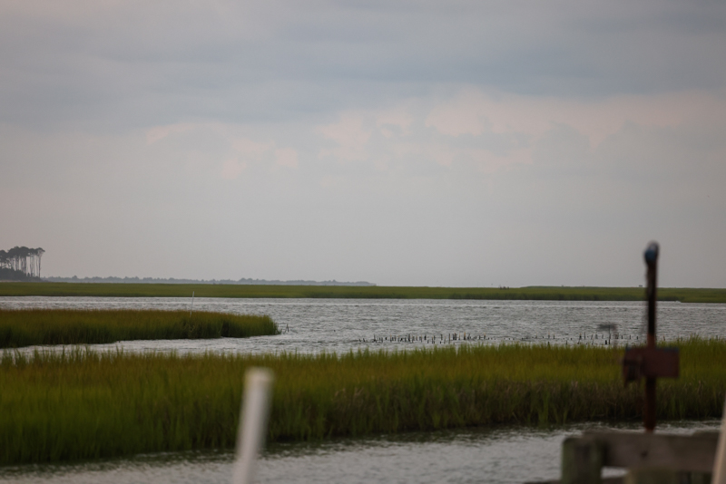 oyster history in va
