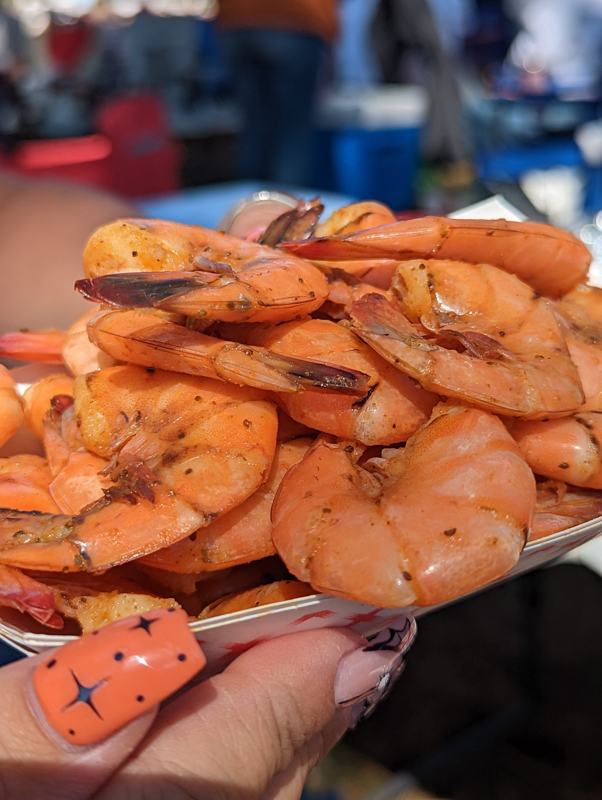 fresh shrimp 