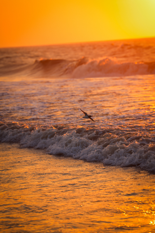 sunset in Chincoteague