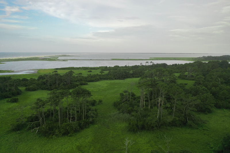 hiking in chincoteague