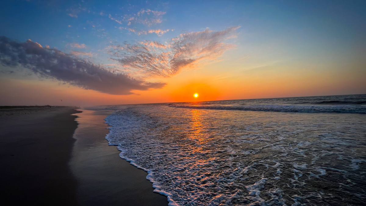 Discovering the Special Charm of Chincoteague Island in 2024
