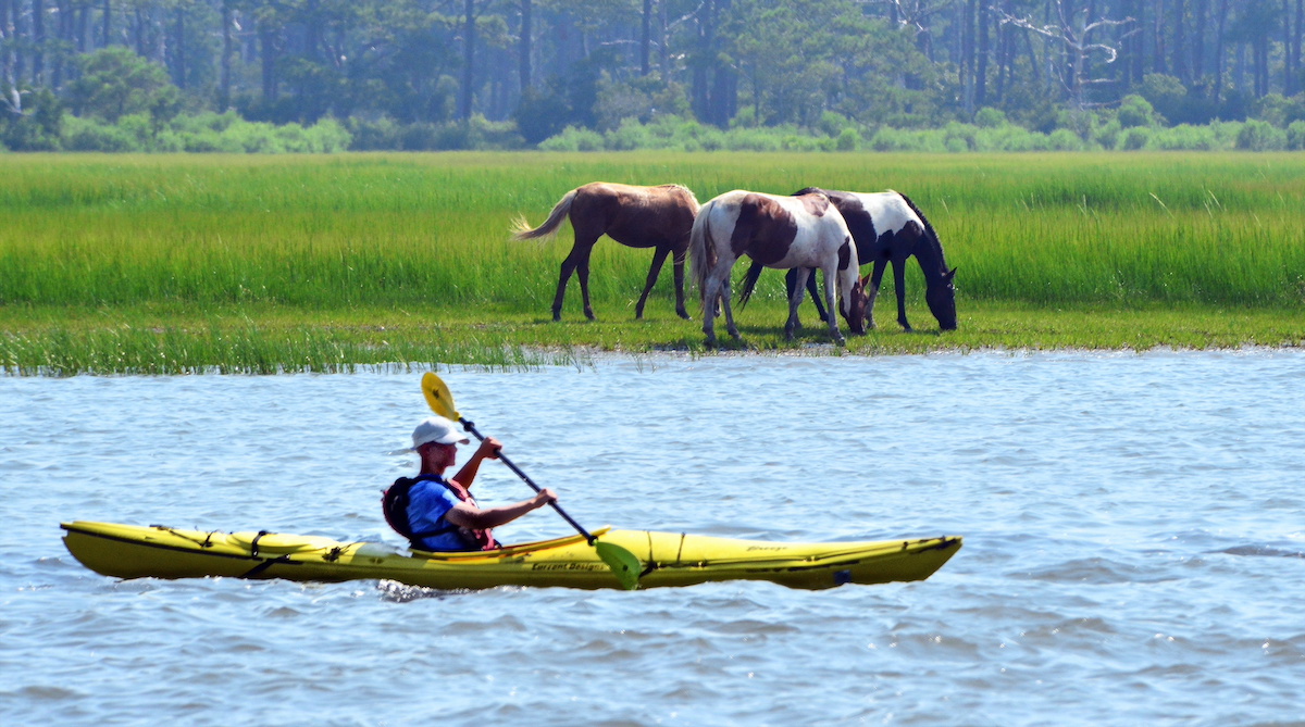 Kayak