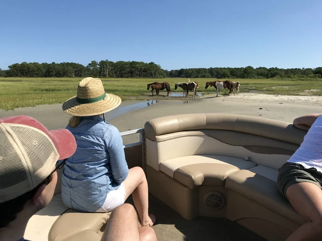 Assateague Tours, Boat Tours, Chincoteague Island, VA