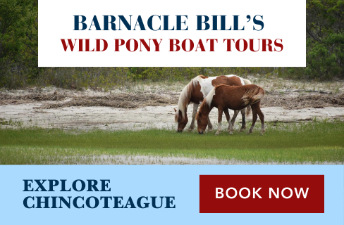 Barnacle Bill's Pony Tours