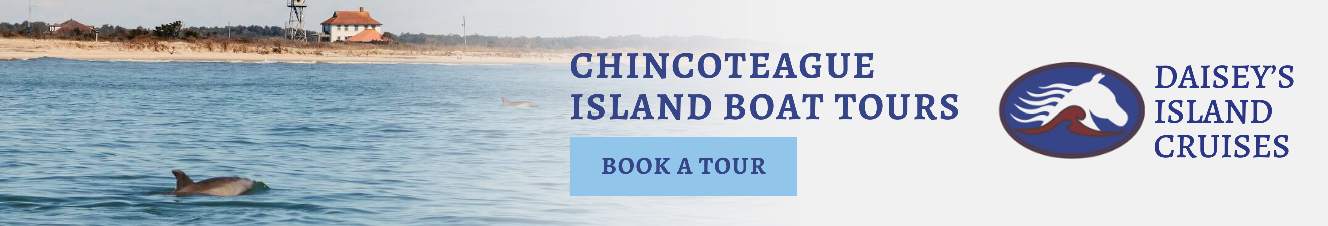 Daisey's Island Cruises