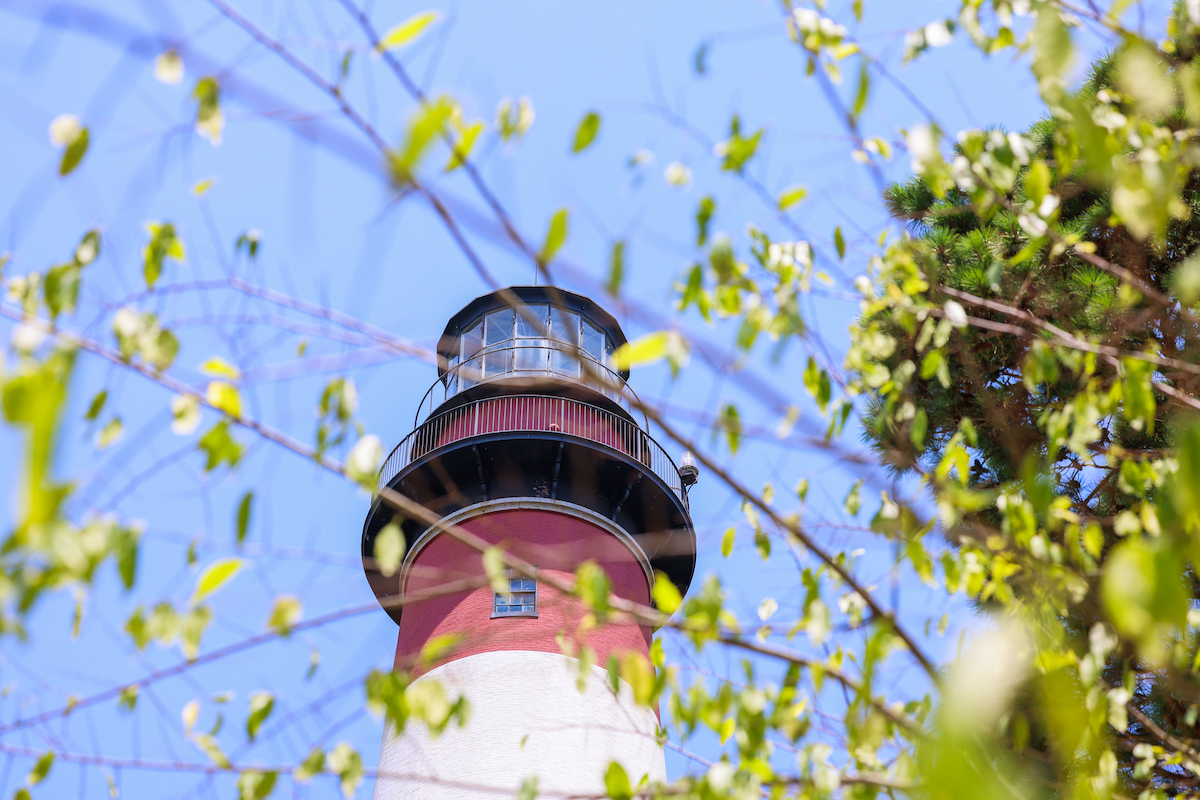 Assateague Lighthouse