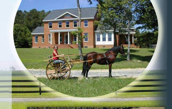 Queen hive farm