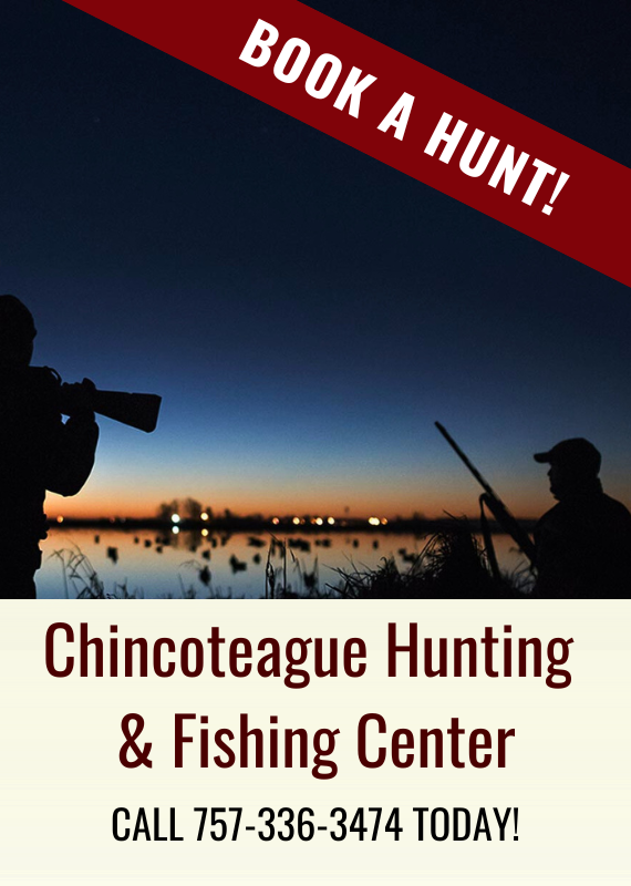 Chincoteague Hunting & Fishing