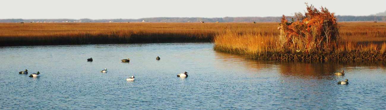 Chincoteague Hunting Center