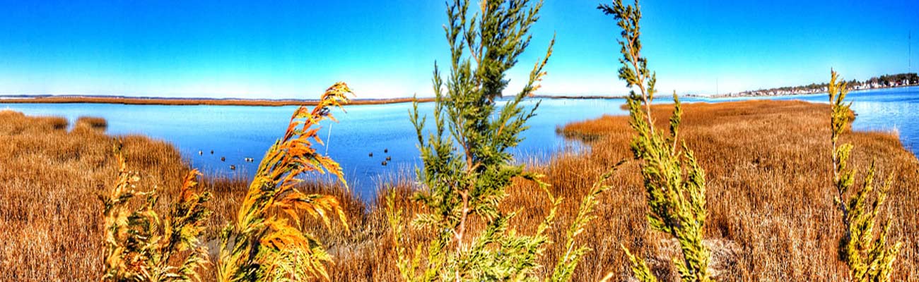 Chincoteague Hunting Center